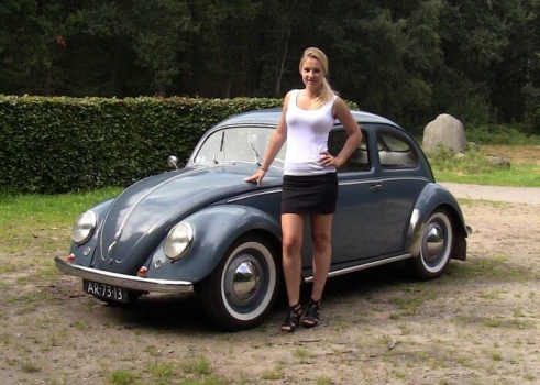 website_vw_1701258902